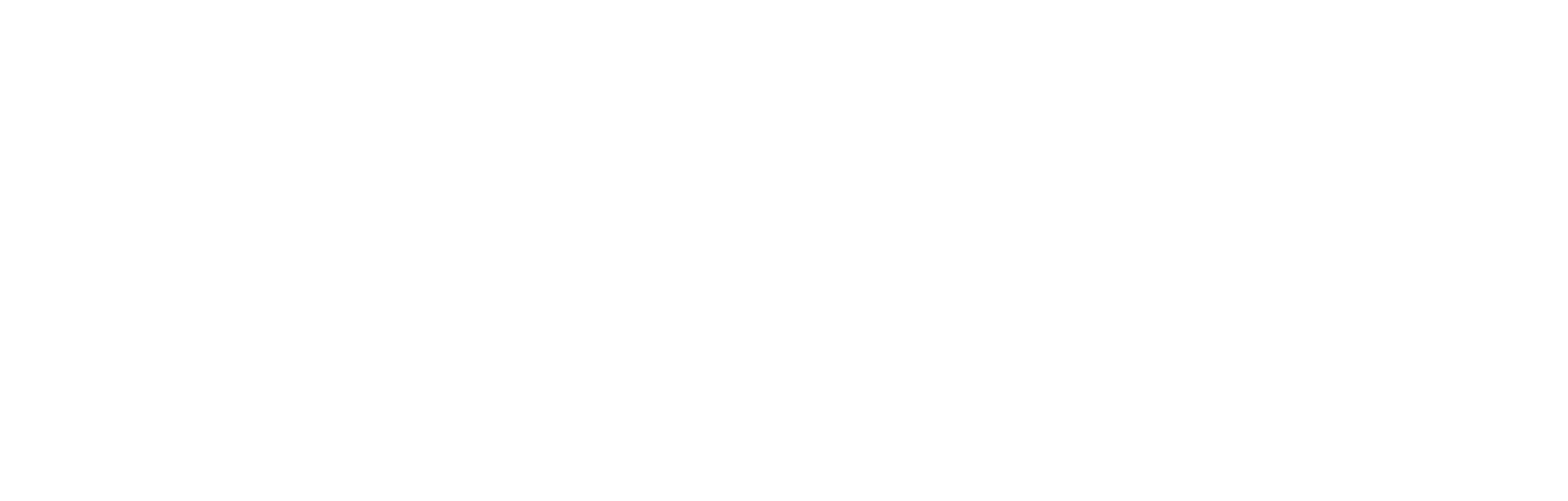 ISSA - Agencia Aduanal